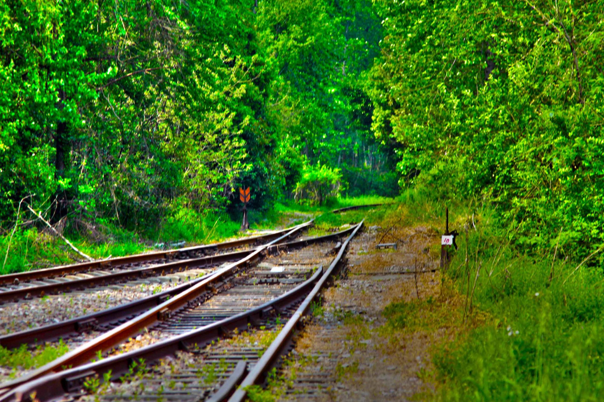我省今年年內(nèi)有4條鐵路線投入運(yùn)營更多出行選擇！