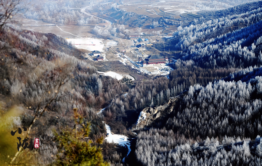 小隴畫報(bào)|甘肅渭源霧凇：玉樹瓊花靚山野（82期）