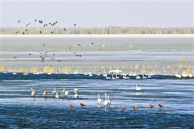 走向“詩(shī)與遠(yuǎn)方” 樂游如意甘肅