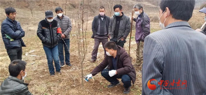 【甘肅全民戰(zhàn)“疫”】隴南徽縣：花椒田里培訓(xùn)忙，戰(zhàn)疫春耕兩不誤