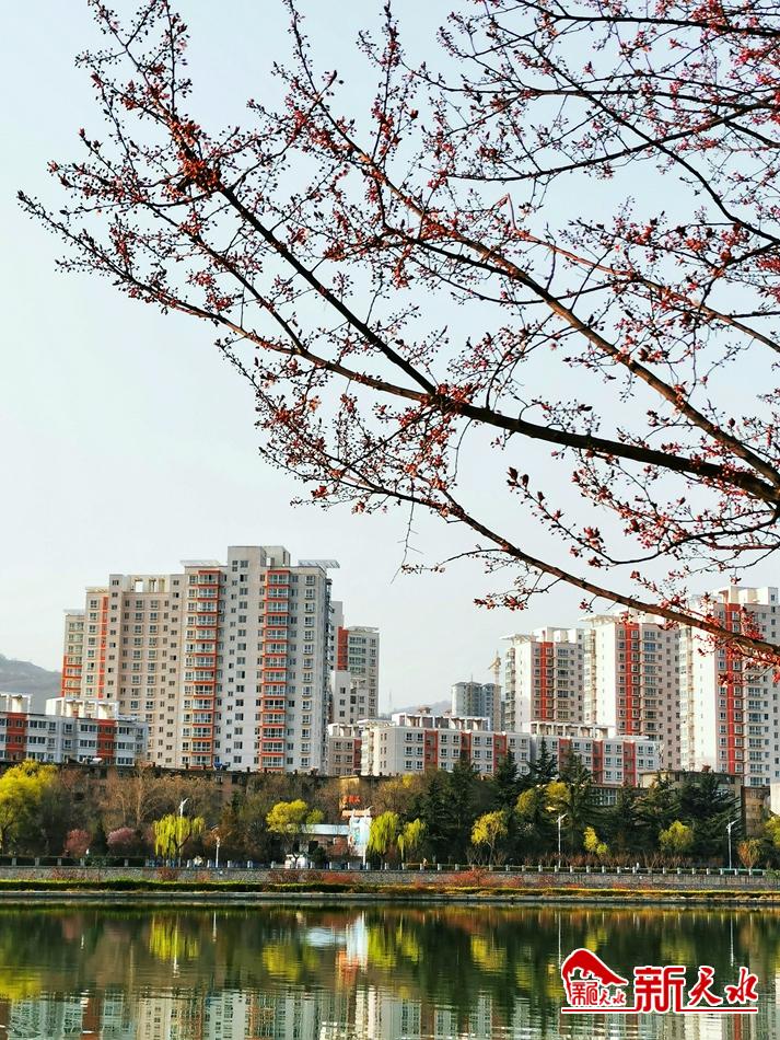 春天，古城天水的十個美麗瞬間