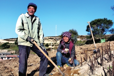 奏響春耕序曲 榆中萬畝百合春采春種抓農資儲備保穩(wěn)產