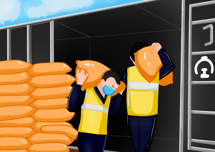 【光明漫評】保障春耕物資，播種希望筑牢信心