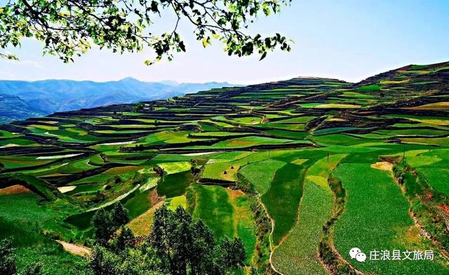 人間四月天 莊浪春景美如畫卷（圖）