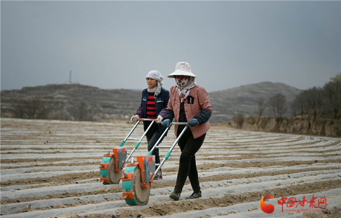 【甘肅省決戰(zhàn)決勝脫貧攻堅(jiān)】蘭州榆中：加快農(nóng)業(yè)產(chǎn)業(yè)轉(zhuǎn)型升級帶動群眾增收致富