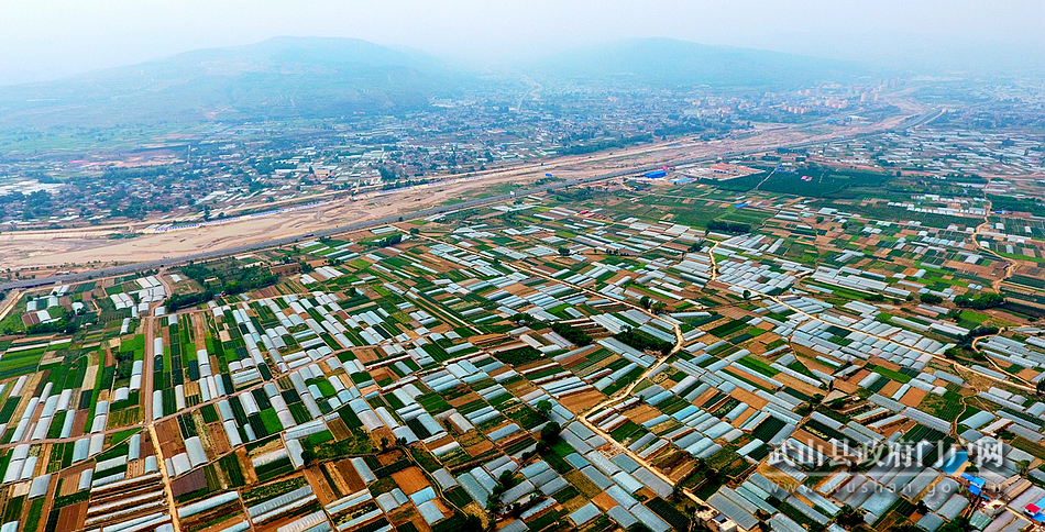 【為民情懷】武山：加快促進(jìn)產(chǎn)業(yè)升級 實(shí)現(xiàn)縣域經(jīng)濟(jì)發(fā)展與民生福祉互動(dòng)共贏