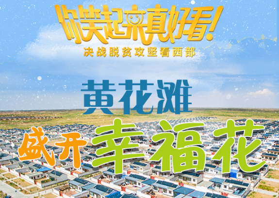 【你笑起來真好看】黃花灘盛開幸?；ǎ▓D解）