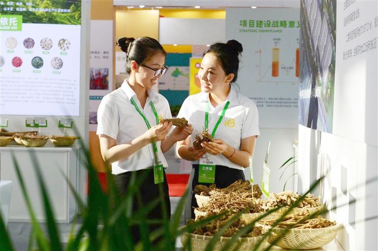 定西，從“千年藥鄉(xiāng)”邁向“中國藥都”