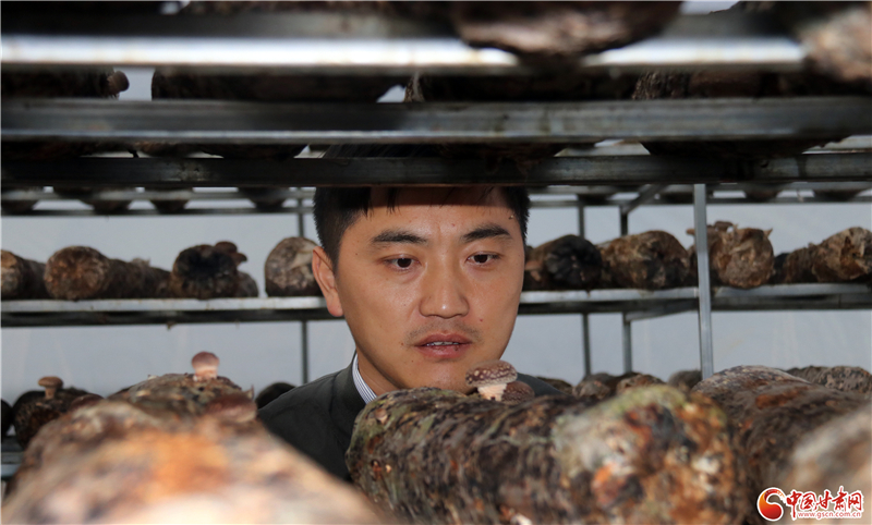 110年！何家溝村終于有了集體經(jīng)濟(jì)——中建二局黨建結(jié)對(duì)幫扶成效顯著