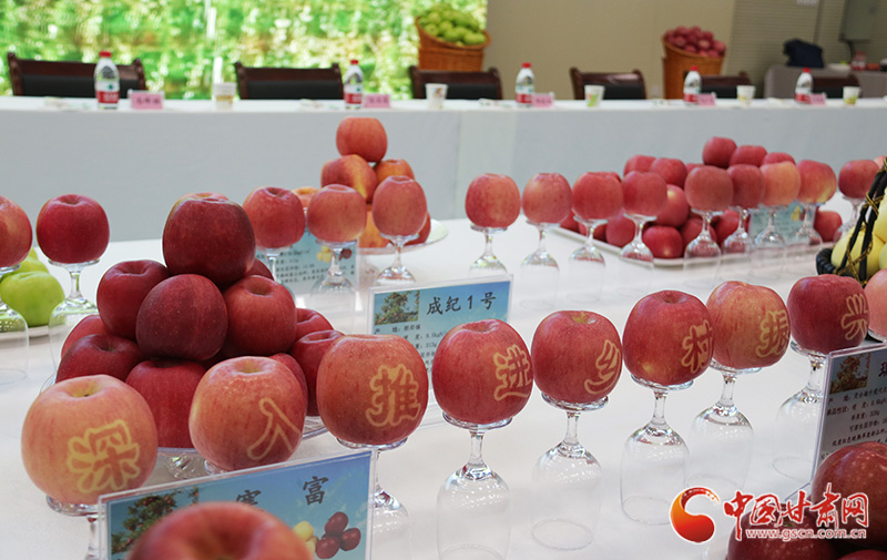 國(guó)家蘋(píng)果產(chǎn)業(yè)技術(shù)體系崗位專家：靈臺(tái)蘋(píng)果就是好