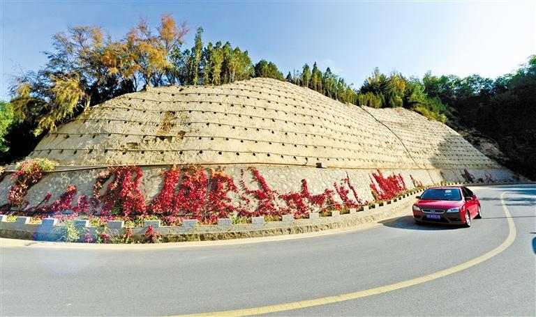 近90度陡坡上種樹(shù)！蘭州南北兩山綠化出新招