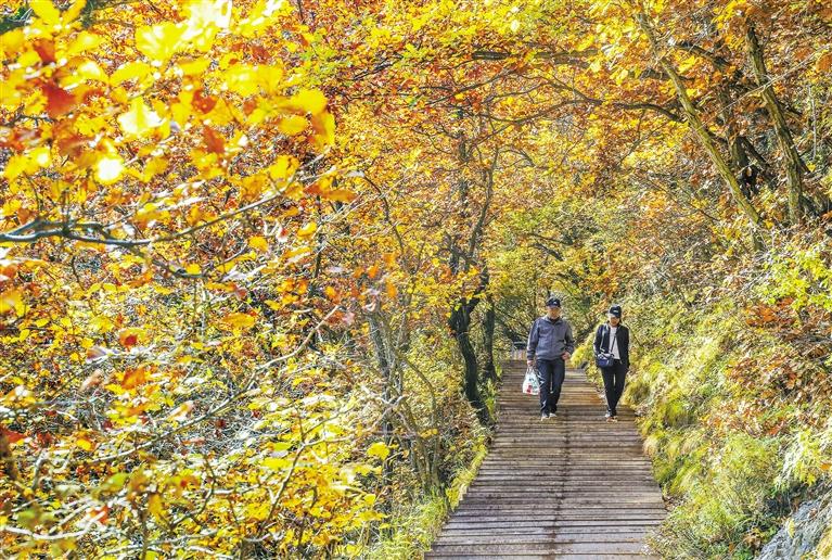 甘肅旅游丨興隆秋色期如許 恰是絢麗多姿時