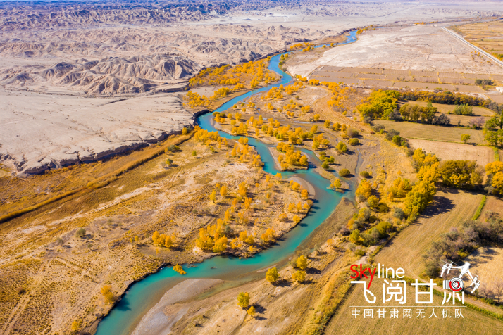 【飛閱甘肅】好美！疏勒河畔大地斑斕