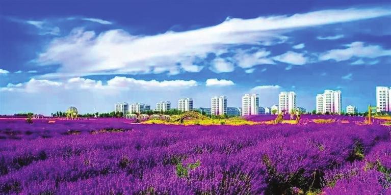 “三連冠”！金昌蟬聯(lián)全國文明城市