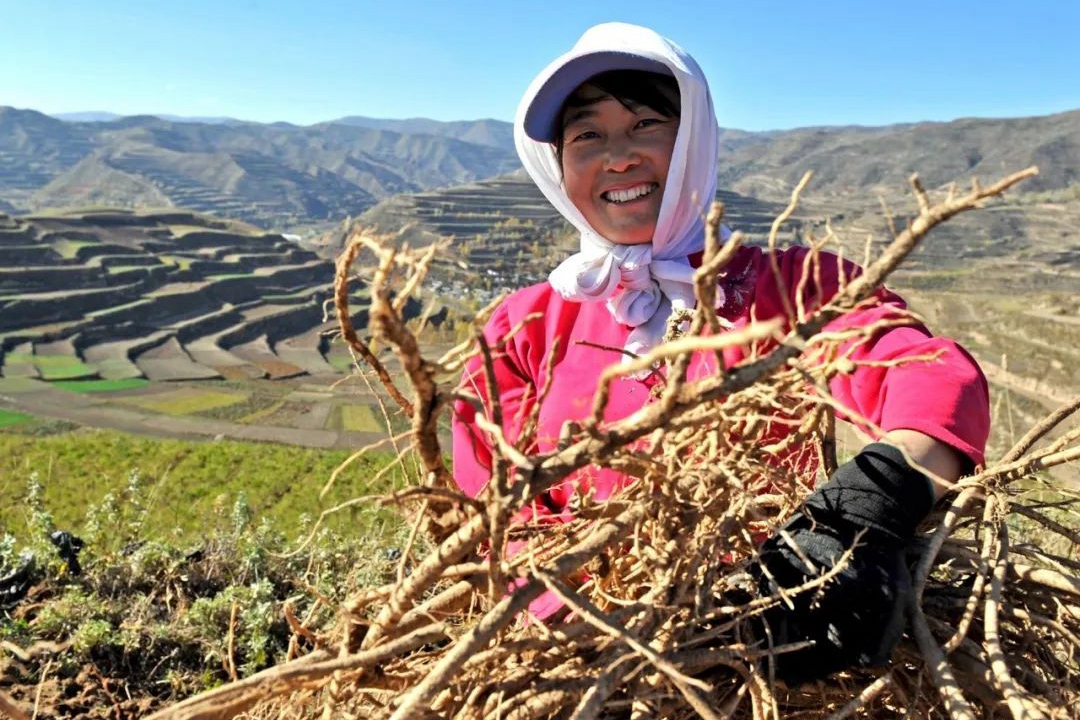 甘肅隴南：“互聯網+”助推消費扶貧促增收