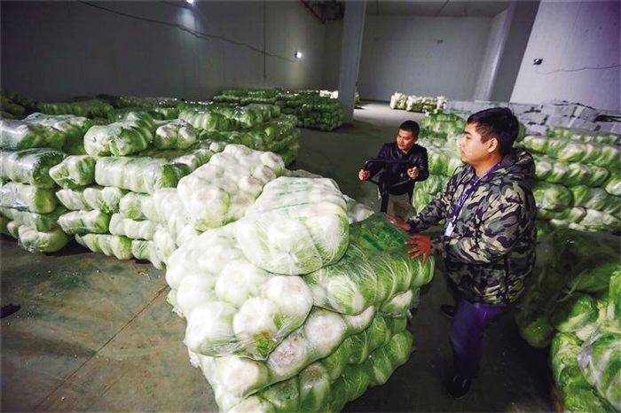 蘭州市已儲(chǔ)備1萬噸冬春蔬菜 以耐貯存、易周轉(zhuǎn)品種為主