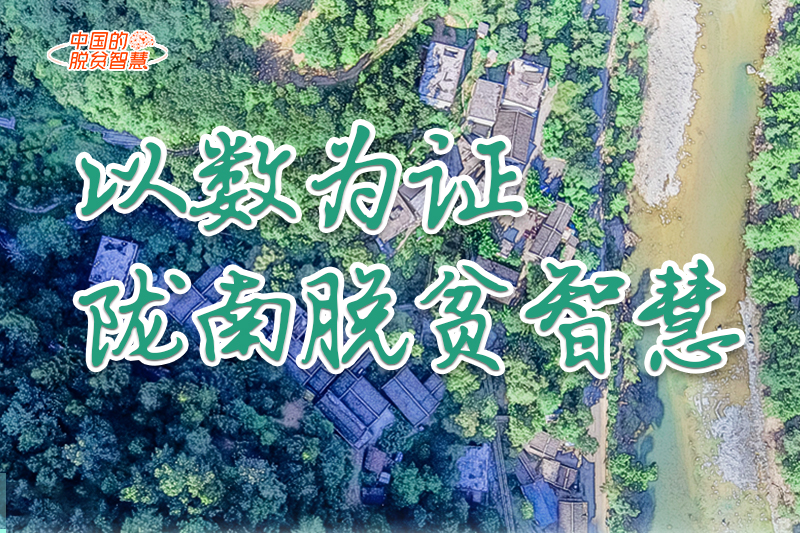 【中國的脫貧智慧】以數(shù)為證！隴南脫貧智慧來了！