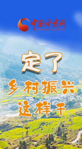 圖解|定了！全面推進(jìn)鄉(xiāng)村振興這樣干！