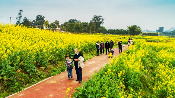 游客在花海里踏青。廖濤 攝