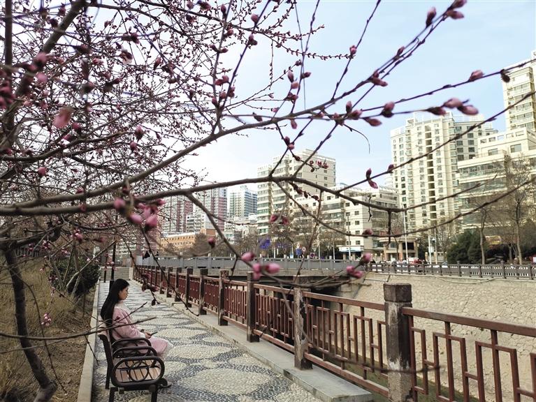 蘭州“第一朵花”開了！