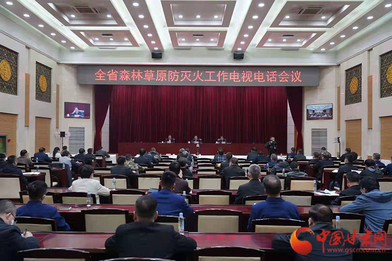 甘肅省森林草原防滅火工作電視電話會(huì)議召開 李沛興出席并講話