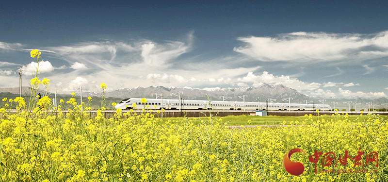 坐上火車“邂逅”春天，你可以這樣享“鐵路游”