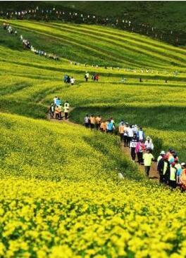 甘肅明確農(nóng)民進(jìn)城落戶:不以退出承包地、林地等為條件