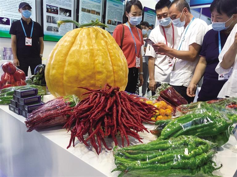 第二十七屆蘭洽會(huì)實(shí)現(xiàn)“線上+線下”全面展示“地道甘味”散發(fā)獨(dú)特魅力