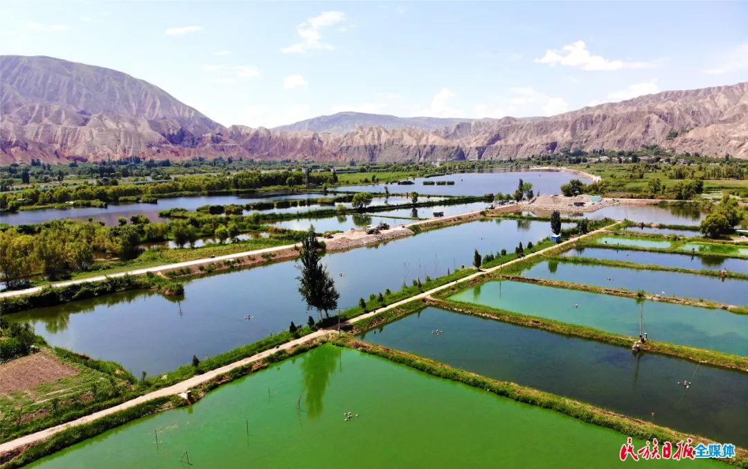 一秒入畫！太極島濕地風(fēng)光秀麗