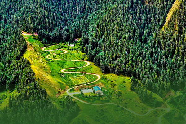 海報|祁連山保護區(qū)生態(tài)環(huán)境問題整改全面完成！