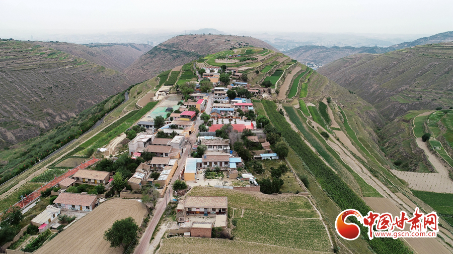 蘭州市政務(wù)服務(wù)中心844項政務(wù)服務(wù)事項恢復線下辦理