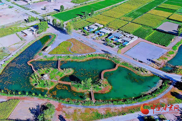 【小康圓夢(mèng)·看甘肅】臨澤縣鴨暖鎮(zhèn)：精雕細(xì)琢“繡”出美麗鄉(xiāng)村新畫(huà)卷