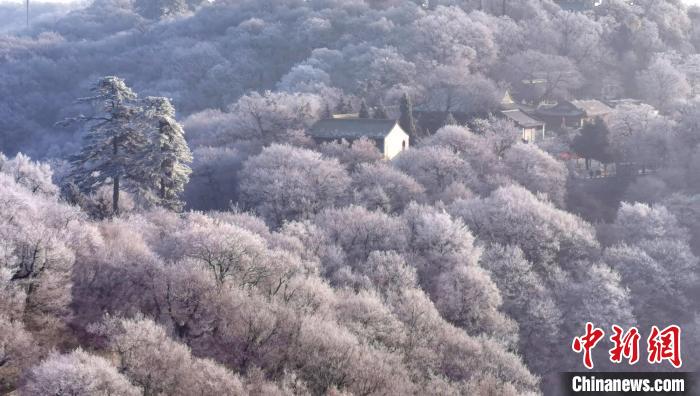 圖為霧凇美景?！⌒煺袢A 攝