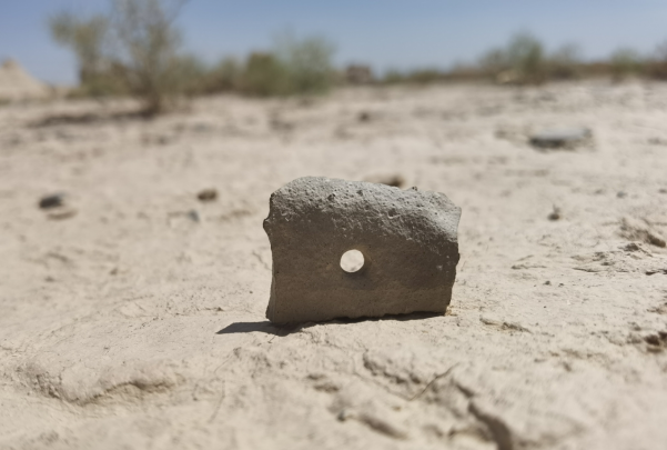 插圖1：河西走廊上遺存的古陶片。攝影：陳曉斌。拍攝日期：2020年6月。