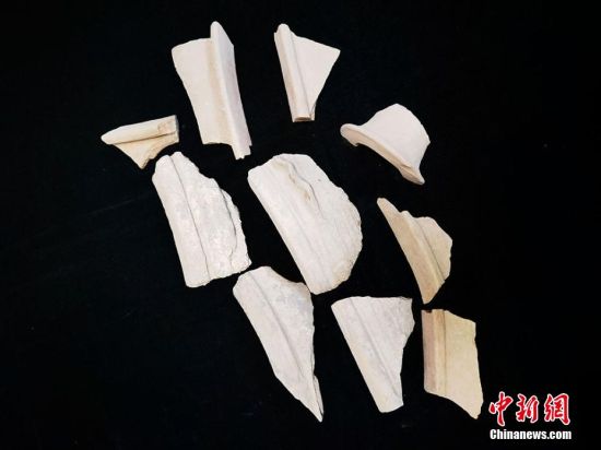 圖為靜寧縣賈河鄉(xiāng)竇坪村出土的彩陶片、紅陶片。 夏劍鋒 攝