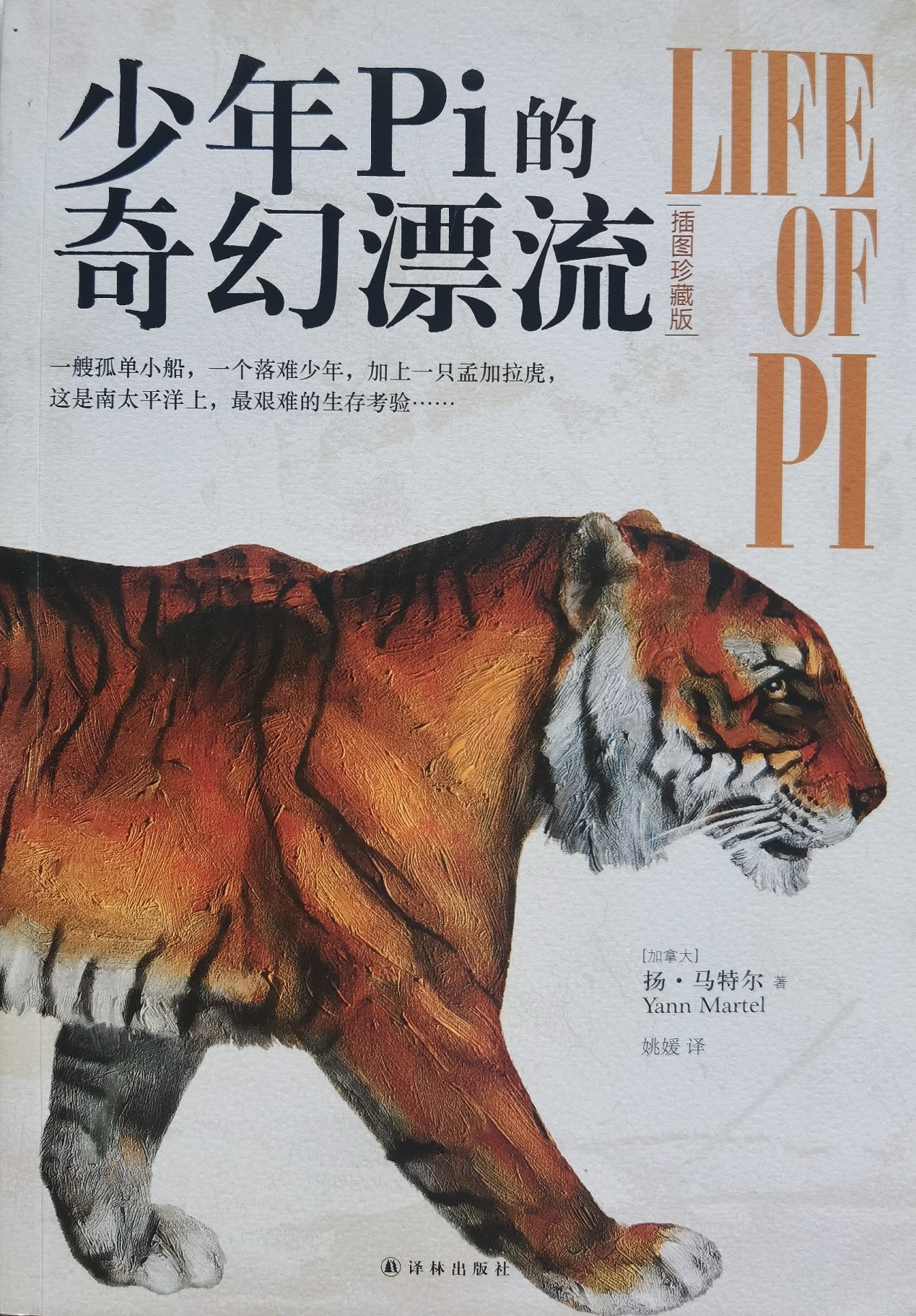 插圖1：揚(yáng)？馬特爾的小說《少年pi的奇幻漂流》封面
