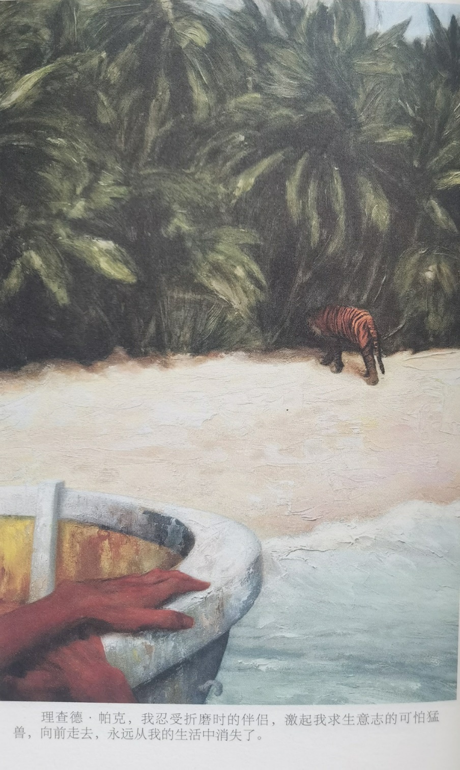 插圖3：揚(yáng)？馬特爾的小說《少年pi的奇幻漂流》插圖