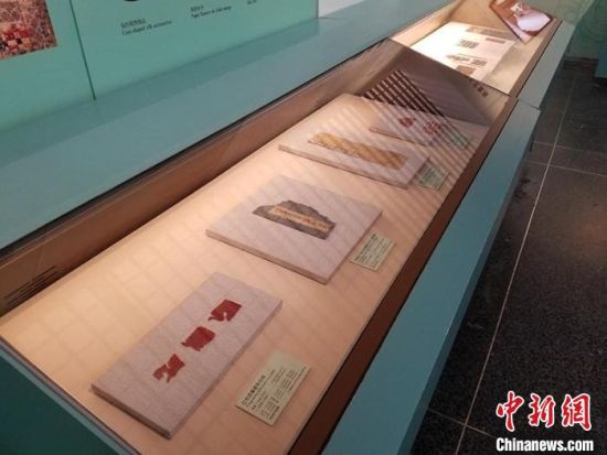 圖為展覽現(xiàn)場。　敦煌研究院供圖