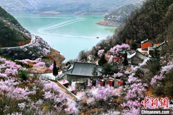 甘肅平?jīng)鍪惺侵袊鴥?yōu)秀旅游城市。圖為平?jīng)鲠轻忌较率锾一ㄊ㈤_。(資料圖) 平?jīng)鍪形麄鞑抗﹫D