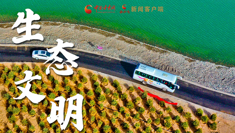 彈幕海報(bào)丨熱議甘肅省委十三屆十六次全會 網(wǎng)民聲音在回響！