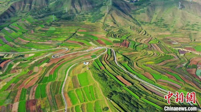 秋日里，榆中縣馬坡鄉(xiāng)千畝梯田，不同農(nóng)作物漸趨成熟，呈現(xiàn)出多種色彩，宛若大地的“調(diào)色盤”?！圆?攝