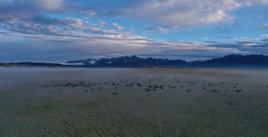 甘肅山丹馬場(chǎng)：峽谷云霧似仙境。 王超攝
