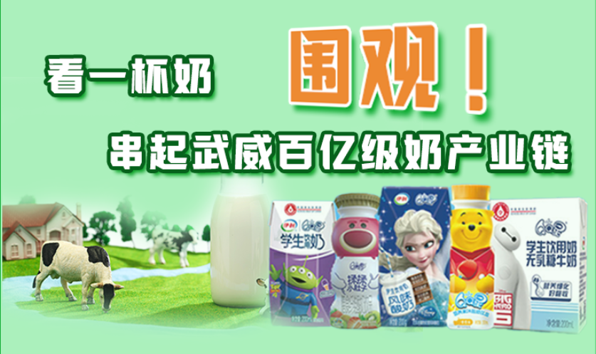 圖解|圍觀！看一杯奶串起武威百億級奶產(chǎn)業(yè)鏈