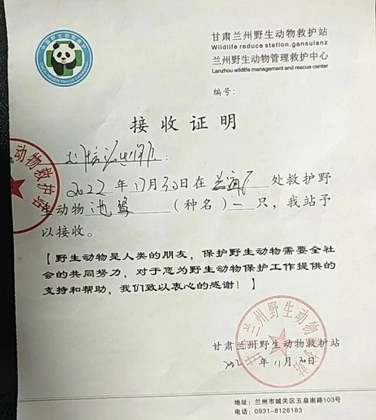 受到救助的池鷺被蘭州野生動物保護(hù)站接收。（蘭州市公安局七里河分局供圖）