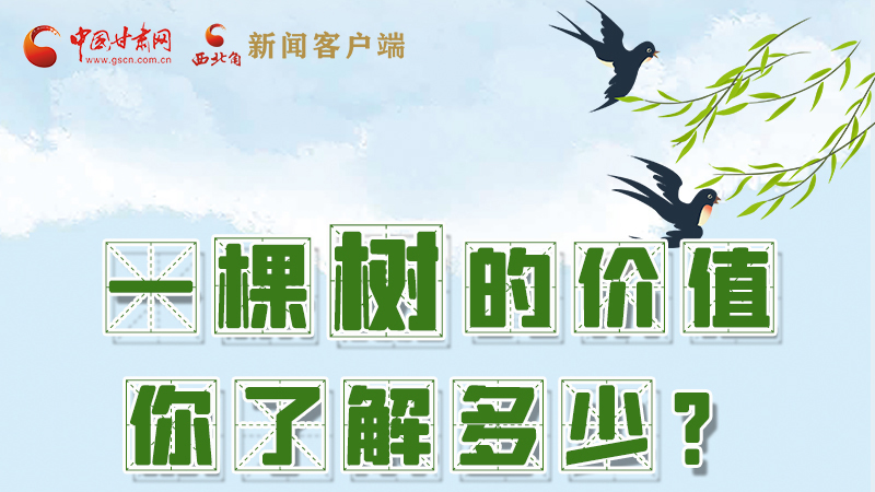 圖解|一棵樹的價(jià)值你了解多少?來(lái)看！