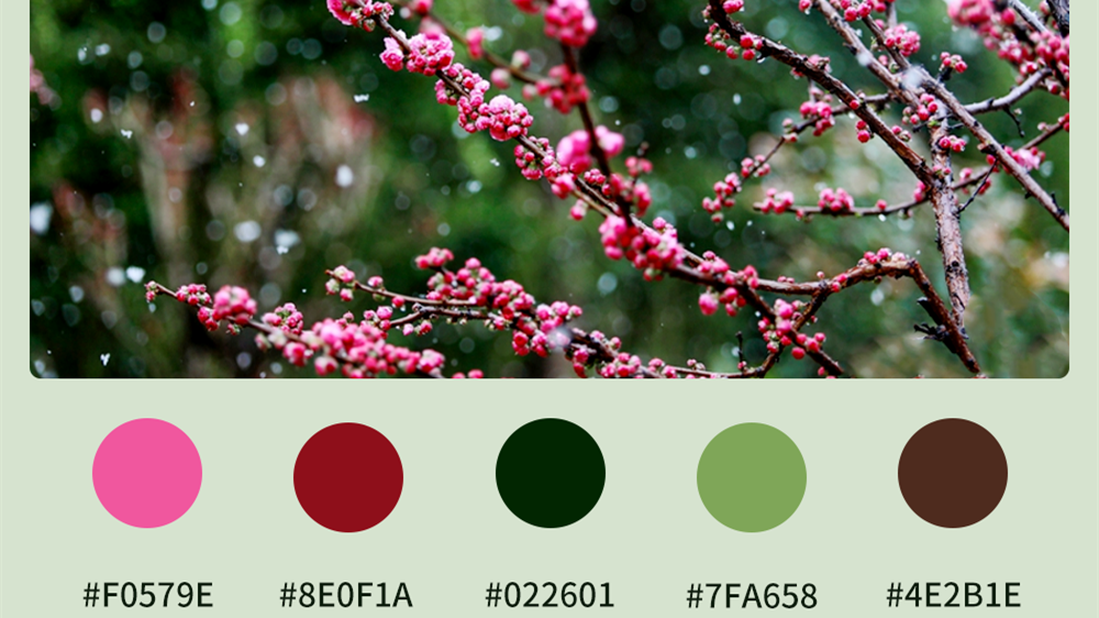 微海報(bào)|收藏！色卡里的春日甘肅