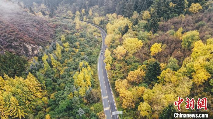 深秋，航拍位于蘭州市榆中縣的興隆山，景色如畫(huà)。金峯 攝</p>
<p>