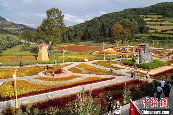 圖為航拍甘肅甘南臨潭縣八角鎮(zhèn)，花海吸引游人。(資料圖)高展 攝