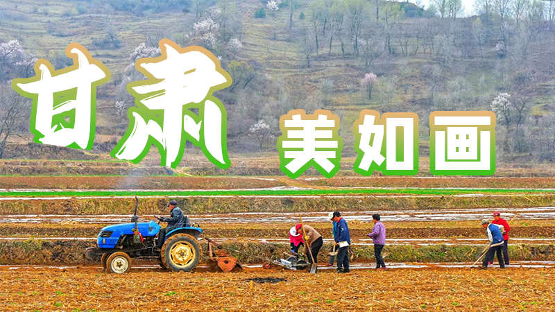 微海報(bào)|甘肅，美如畫