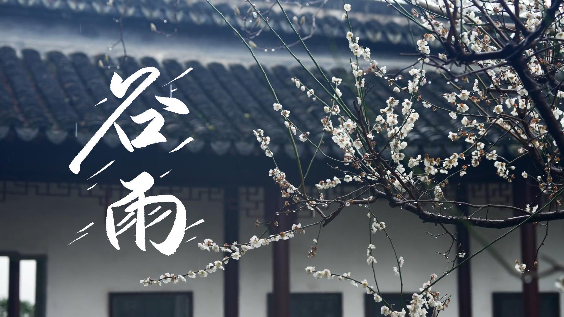 【節(jié)氣里的大美甘肅】谷雨，春天的最后一次回眸